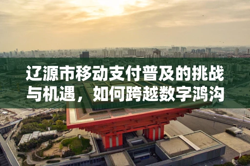 辽源市移动支付普及的挑战与机遇，如何跨越数字鸿沟？