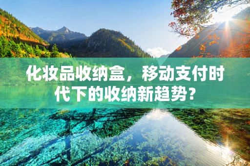 化妆品收纳盒，移动支付时代下的收纳新趋势？