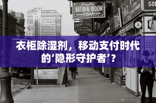 衣柜除湿剂，移动支付时代的‘隐形守护者’？