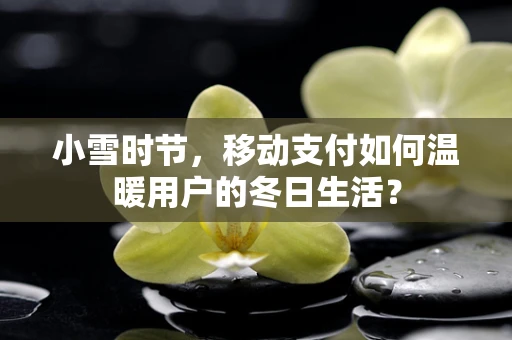 小雪时节，移动支付如何温暖用户的冬日生活？