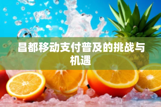 昌都移动支付普及的挑战与机遇