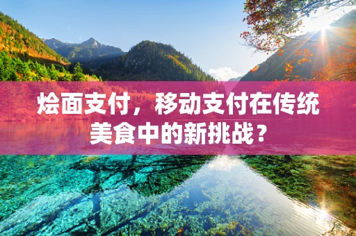 烩面支付，移动支付在传统美食中的新挑战？