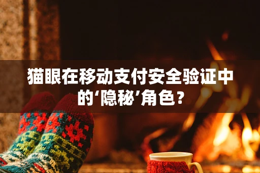 猫眼在移动支付安全验证中的‘隐秘’角色？