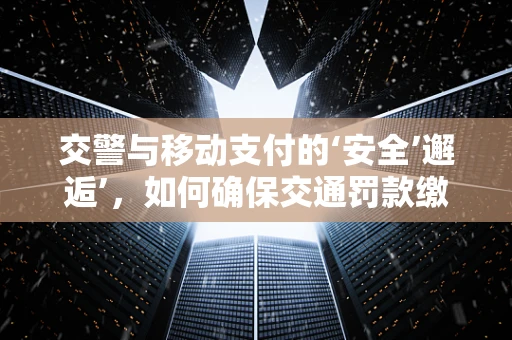 交警与移动支付的‘安全’邂逅’，如何确保交通罚款缴纳的便捷与安全？