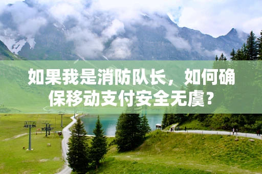 如果我是消防队长，如何确保移动支付安全无虞？