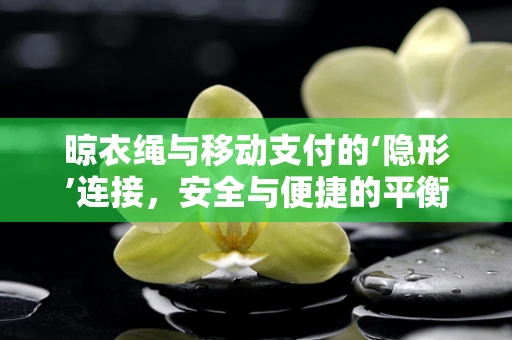 晾衣绳与移动支付的‘隐形’连接，安全与便捷的平衡点在哪里？