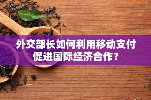外交部长如何利用移动支付促进国际经济合作？