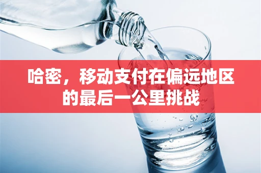 哈密，移动支付在偏远地区的最后一公里挑战