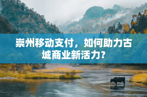 崇州移动支付，如何助力古城商业新活力？