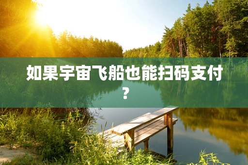 如果宇宙飞船也能扫码支付？