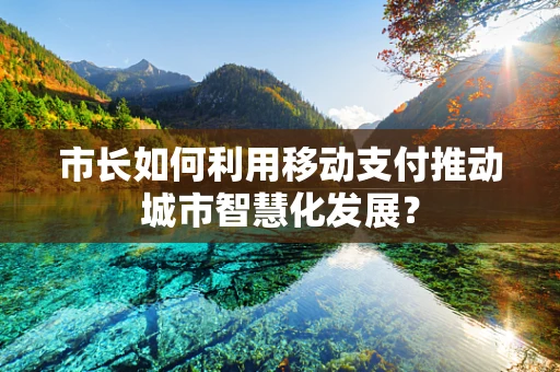 市长如何利用移动支付推动城市智慧化发展？
