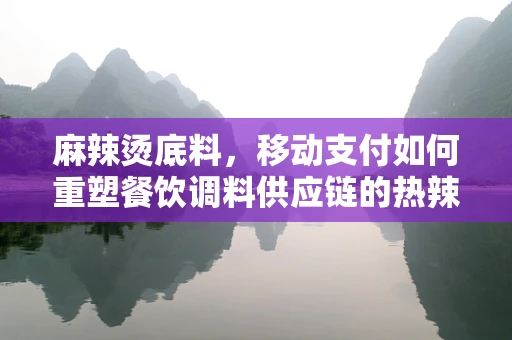 麻辣烫底料，移动支付如何重塑餐饮调料供应链的热辣变革？
