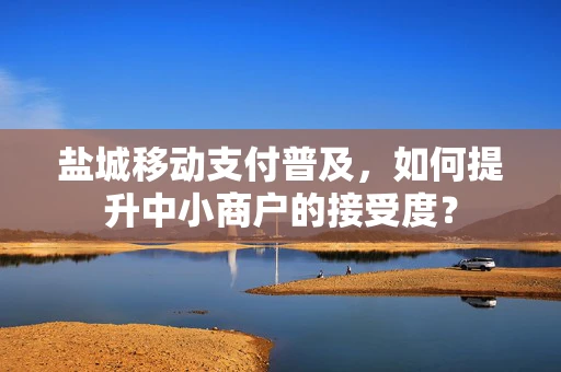 盐城移动支付普及，如何提升中小商户的接受度？