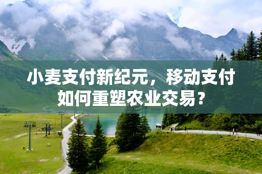 小麦支付新纪元，移动支付如何重塑农业交易？