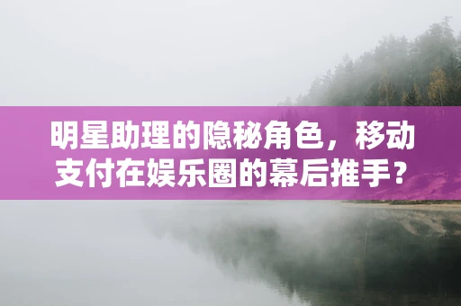 明星助理的隐秘角色，移动支付在娱乐圈的幕后推手？