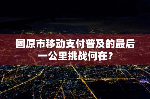 固原市移动支付普及的最后一公里挑战何在？