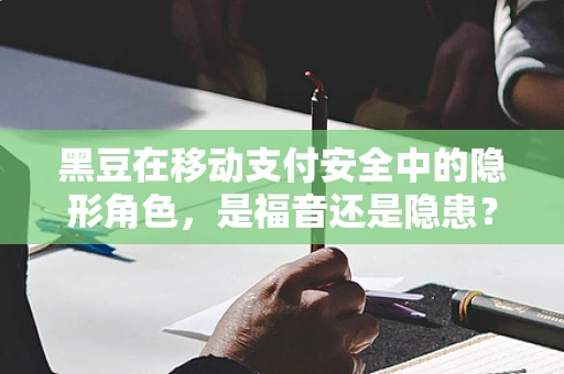 黑豆在移动支付安全中的隐形角色，是福音还是隐患？