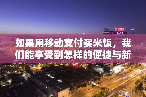如果用移动支付买米饭，我们能享受到怎样的便捷与新体验？