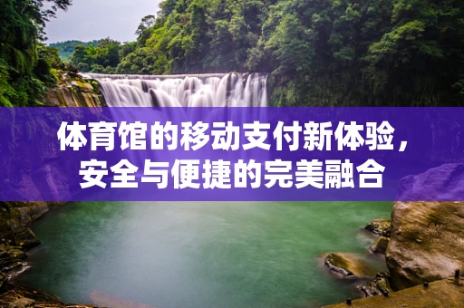 体育馆的移动支付新体验，安全与便捷的完美融合