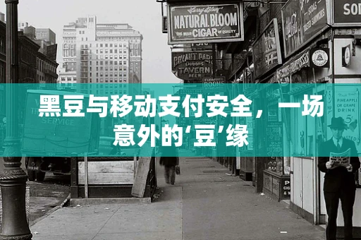 黑豆与移动支付安全，一场意外的‘豆’缘