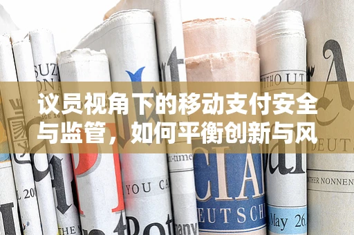 议员视角下的移动支付安全与监管，如何平衡创新与风险？