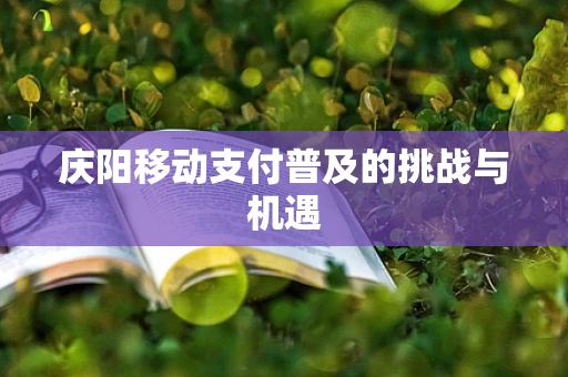 庆阳移动支付普及的挑战与机遇