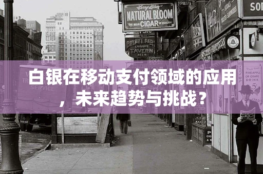白银在移动支付领域的应用，未来趋势与挑战？