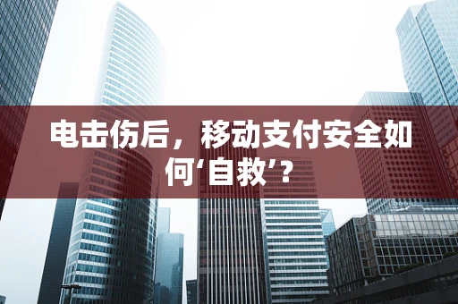 电击伤后，移动支付安全如何‘自救’？