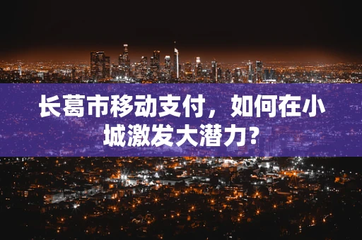 长葛市移动支付，如何在小城激发大潜力？