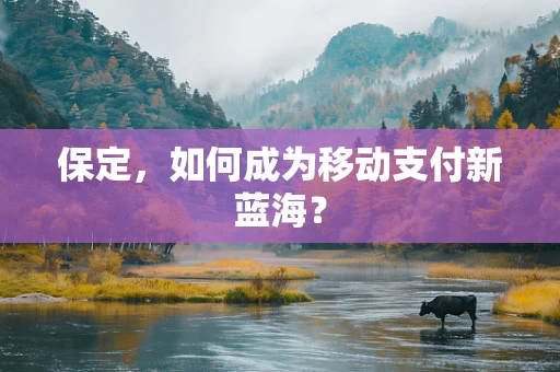 保定，如何成为移动支付新蓝海？