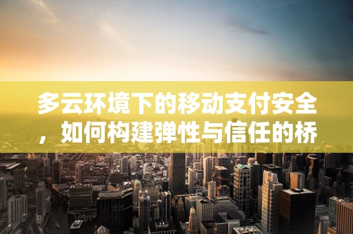 多云环境下的移动支付安全，如何构建弹性与信任的桥梁？