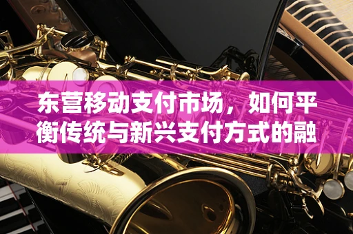 东营移动支付市场，如何平衡传统与新兴支付方式的融合发展？