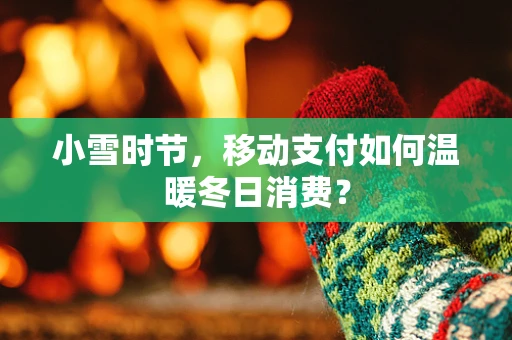 小雪时节，移动支付如何温暖冬日消费？