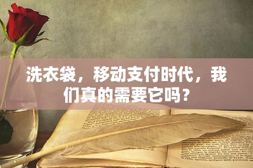 洗衣袋，移动支付时代，我们真的需要它吗？