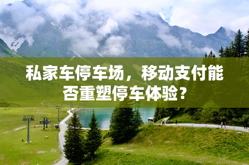 私家车停车场，移动支付能否重塑停车体验？