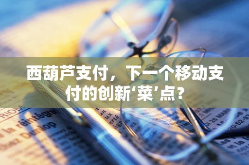 西葫芦支付，下一个移动支付的创新‘菜’点？