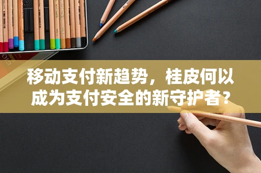 移动支付新趋势，桂皮何以成为支付安全的新守护者？