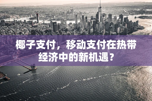 椰子支付，移动支付在热带经济中的新机遇？