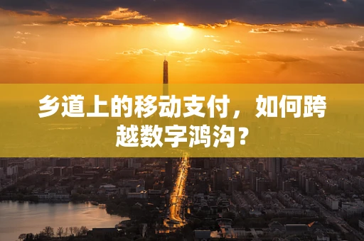 乡道上的移动支付，如何跨越数字鸿沟？
