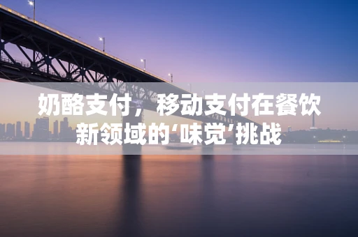 奶酪支付，移动支付在餐饮新领域的‘味觉’挑战