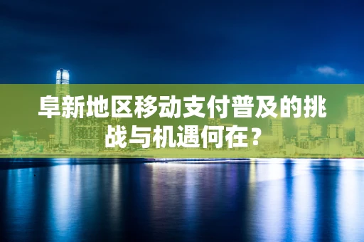 阜新地区移动支付普及的挑战与机遇何在？