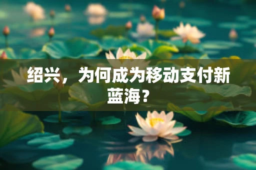 绍兴，为何成为移动支付新蓝海？