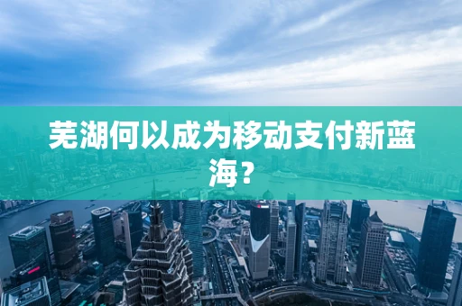 芜湖何以成为移动支付新蓝海？
