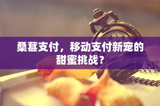 桑葚支付，移动支付新宠的甜蜜挑战？