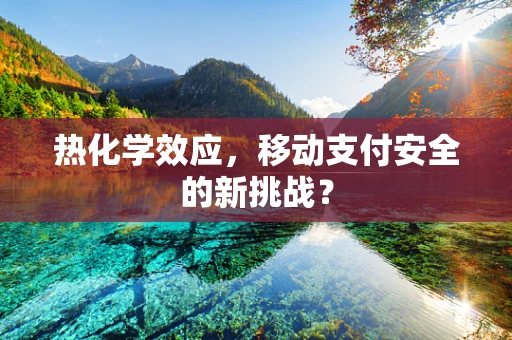 热化学效应，移动支付安全的新挑战？