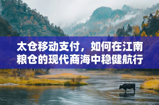 太仓移动支付，如何在江南粮仓的现代商海中稳健航行？