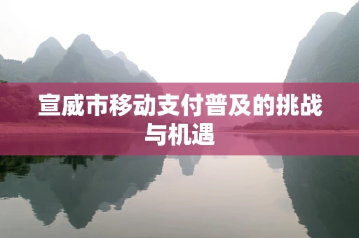 宣威市移动支付普及的挑战与机遇