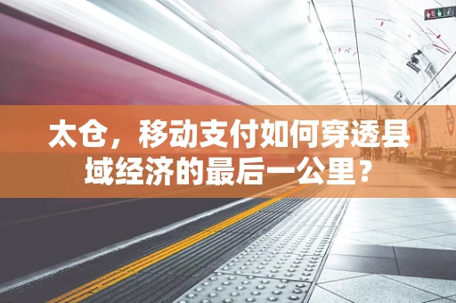 太仓，移动支付如何穿透县域经济的最后一公里？