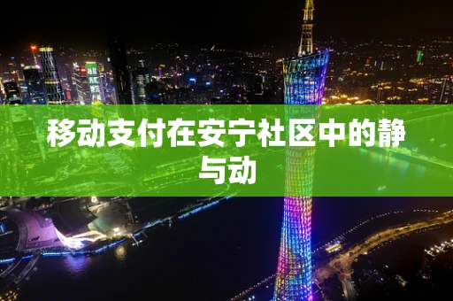 移动支付在安宁社区中的静与动