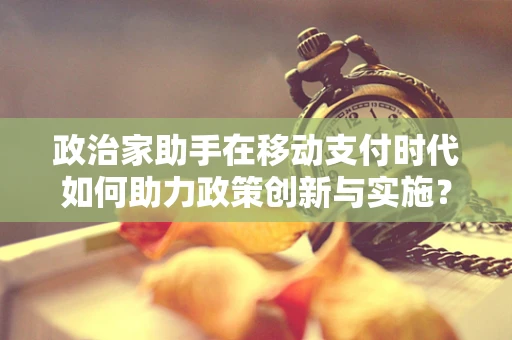 政治家助手在移动支付时代如何助力政策创新与实施？